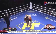 开云体育官方网站-马德里球队力挫群雄，斩获国际比赛冠军头衔