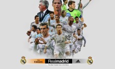 开云体育平台APP-绝杀与传承，日本双星闪耀欧洲之夜，蒂亚戈改写历史的双重奏