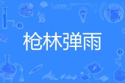 开云体育APP下载-关于枪林弹雨的比赛场面让人目不暇接！的信息