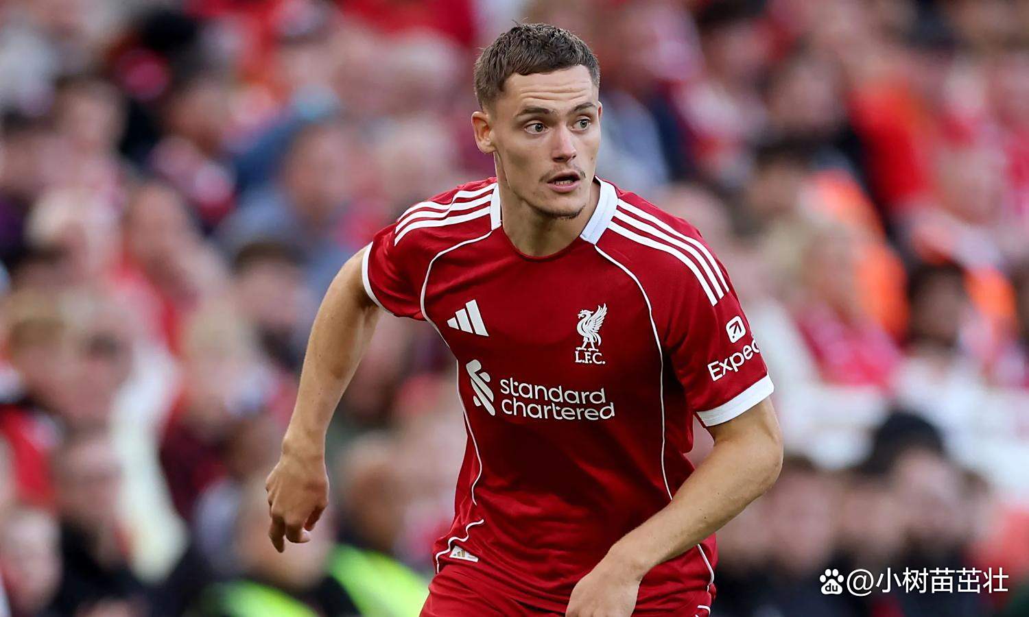 利物浦新签大将，圣诞节前重要战役备战中