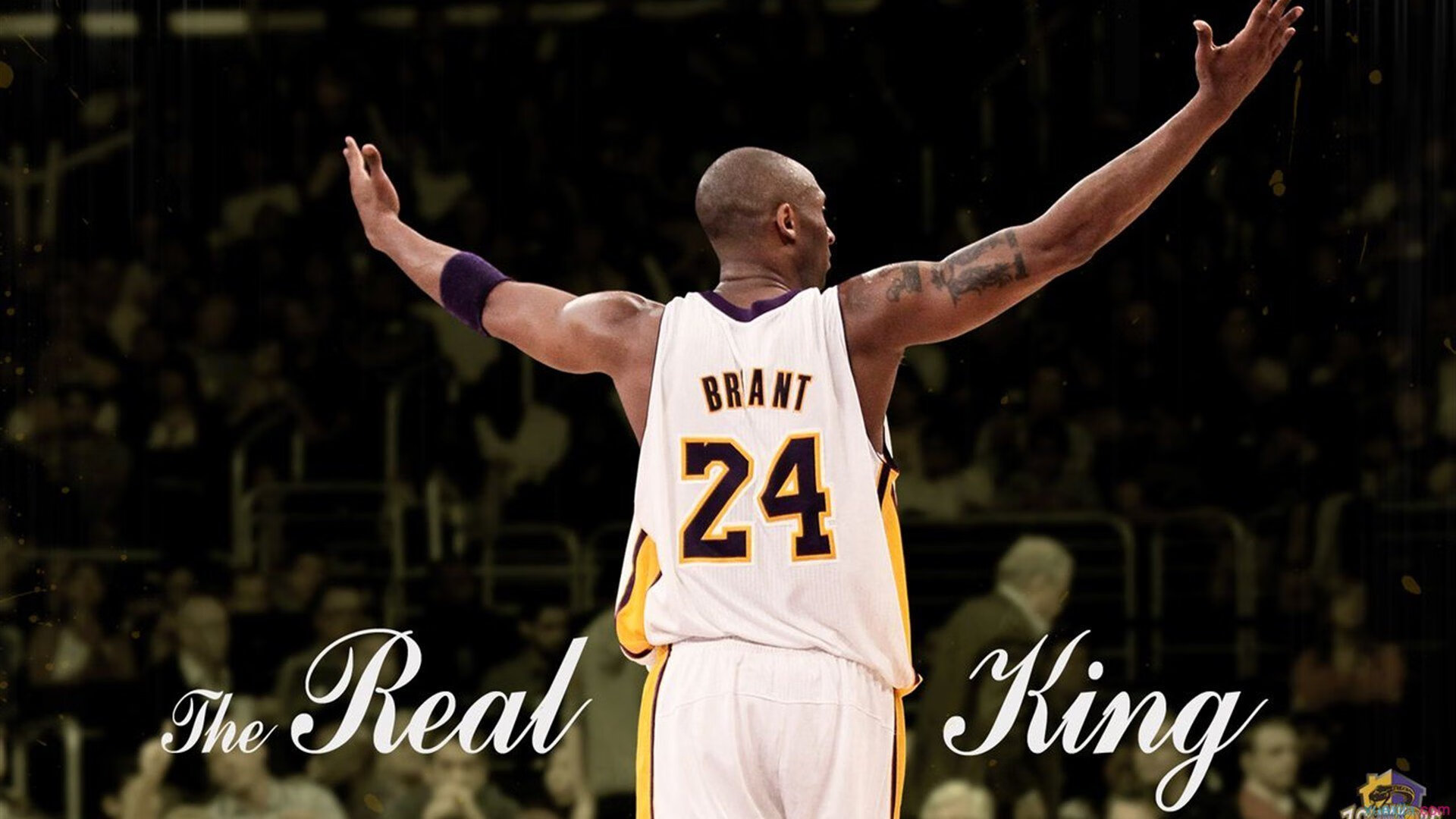 双星闪耀，葡萄牙轻取瑞典，梁靖崑状态火热创佳绩